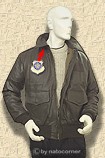 fine details - fine pics - fine items .....natocorner.com
