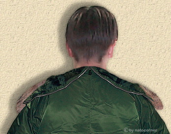 a beautiful back can inspire but a warm back will inspire