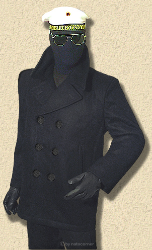 NAVY PEA-COAT ... timeless elegance