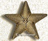 Badge: German Navy captain lieutenant (KaLeu)  -GOLD-