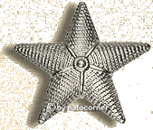 Badge: German Navy captain lieutenant (KaLeu)  -SILVER-